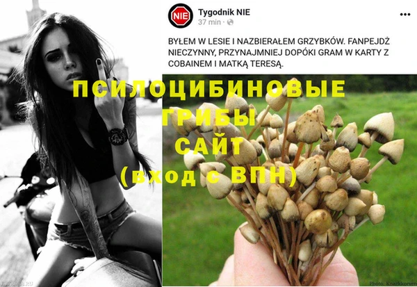 мдма Новодвинск