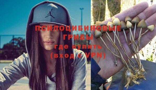 ГАЛЛЮЦИНОГЕННЫЕ ГРИБЫ Абинск