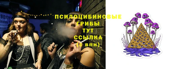 ГАЛЛЮЦИНОГЕННЫЕ ГРИБЫ Абинск