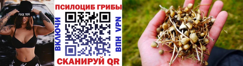Псилоцибиновые грибы Magic Shrooms  Пудож 